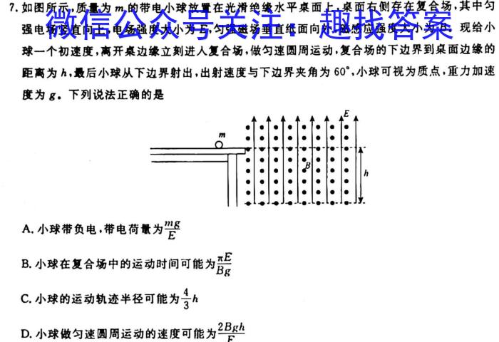 ［河南大联考］河南省2023-2024学年度高二年级上学期11月联考f物理