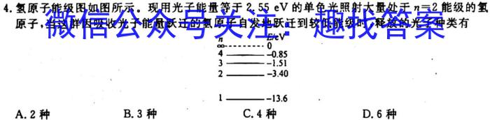 2024届四川省仁寿县高中2021级零诊(24-95C)q物理