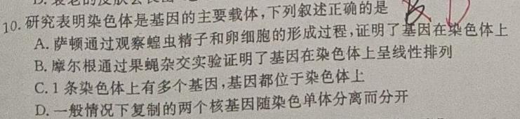 湖北省重点高中智学联盟2023年秋季高三10月联考生物试卷答案