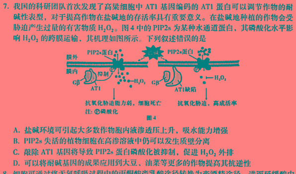 2023年河北省名校强基联盟高一期中联考（11月）生物