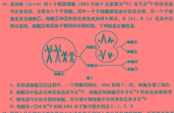 2024届广西名校高考模拟试卷第一次摸底考试生物学试题答案