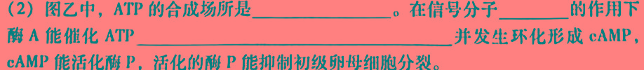 安徽省2023-2024学年度第一学期九年级10月份限时训练生物学试题答案