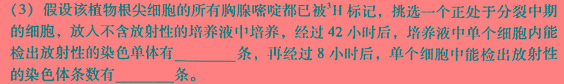 ［广东大联考］广东省2025届高二年级上学期期中考试生物学试题答案