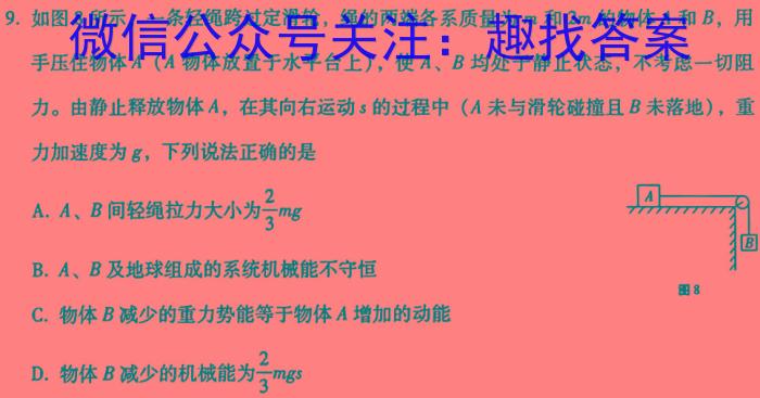 江西省2024届九年级初中目标考点测评（十二）q物理