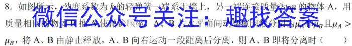 稳派大联考2023-2024学年高二期中考试11月联考q物理