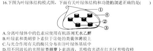 智慧上进·2024届高三总复习双向达标月考调研卷（三）生物