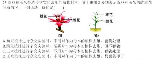 黑龙江省齐齐哈尔市2023-2024学年度高一年级上学期期中考试（24149A）生物