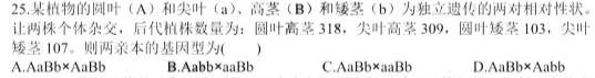 衡中同卷 2023-2024学年度高三一轮复习滚动卷(三)生物学试题答案