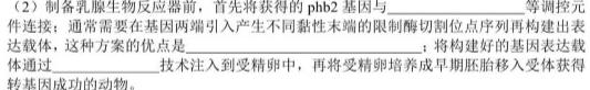 安徽省芜湖市2024届九年级阶段检测调研（一）生物学试题答案