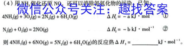 q新高中创新联盟TOP二十名校2023-2024学年高一上学期11月调研考试化学