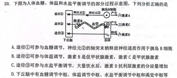 ［辽宁大联考］辽宁省2024届高三年级上学期10月联考生物