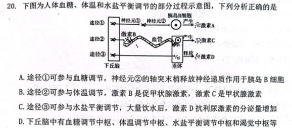 安徽省2023-2024学年度七年级上学期阶段评估（一）【1LR】生物