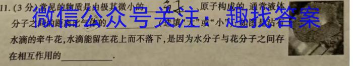 云南省2025届高二11月联考（期中考试）q物理