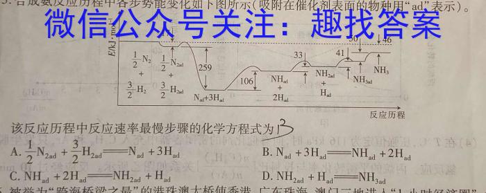 32023-2024学年安徽省七年级教学质量检测（二）化学