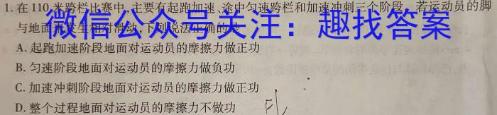 安徽省2023-2024学年度八年级教学质量检测（11.8）l物理