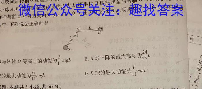 2023-2024九年级第一学期阶段性检测(河南专版)f物理