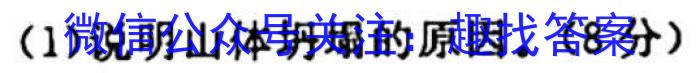 ʡ2024꼶ģʾ SX(һ).