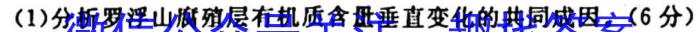 衡水金卷先享题月考卷 2023-2024下学期高二期末考试地理试卷答案