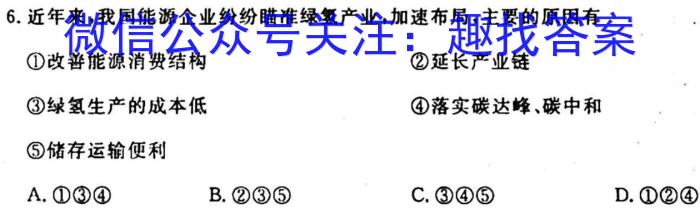 湘楚名校2024-2025学年度上学期高三年级八月联考（10001C）地理试卷答案