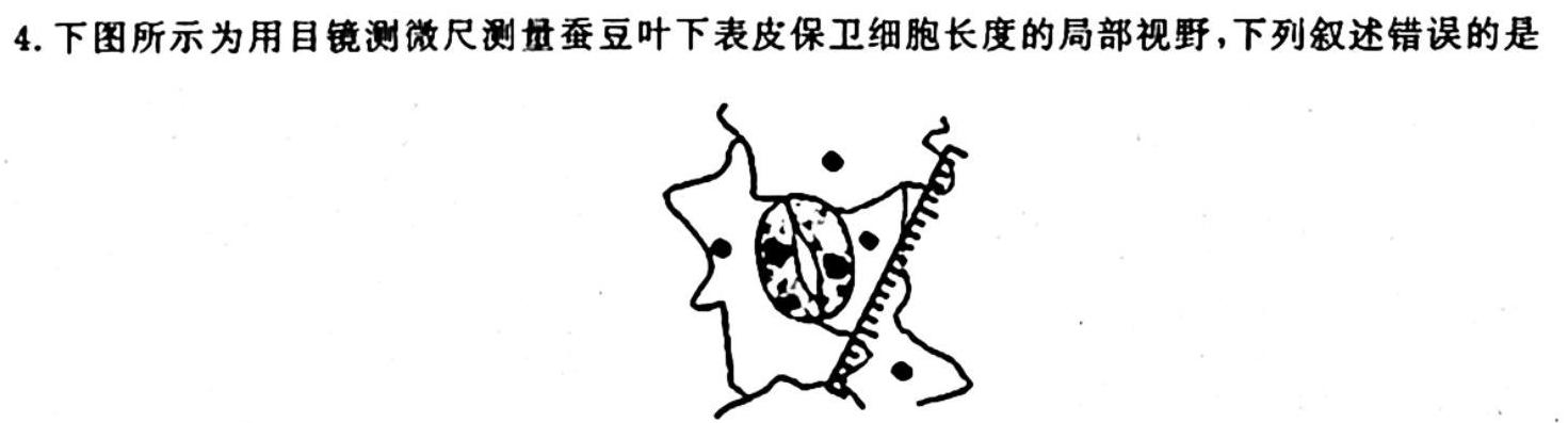 铭师·名卷2023-2024学年安徽县中联盟高一10月联考（4048A）生物