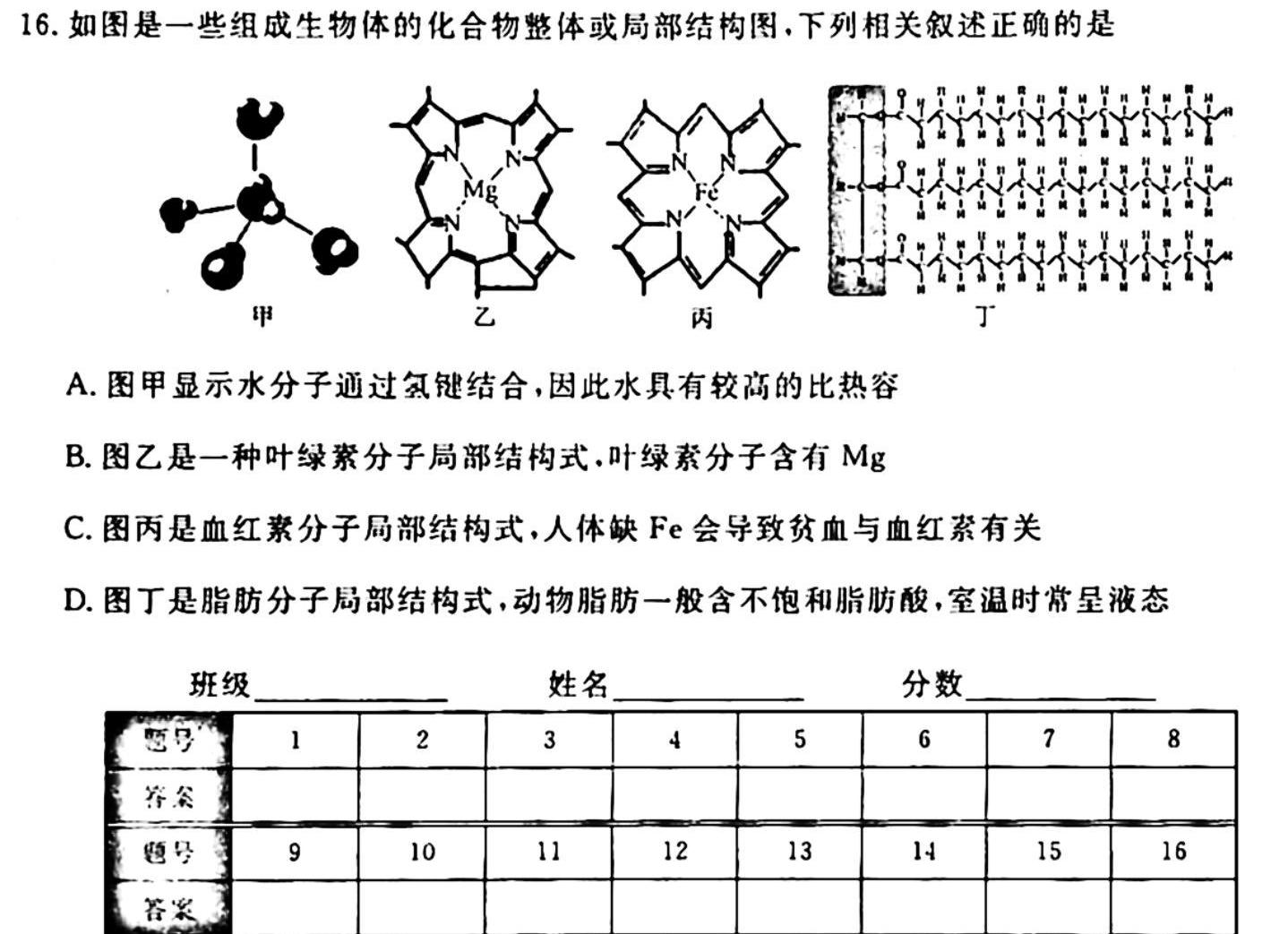 甘肃省2023~2024学年度高三第一学期第三次月考(24225C)生物