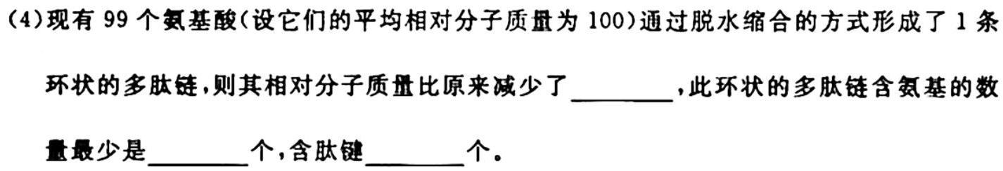 江西省2024届九年级初中目标考点测评（十一）生物