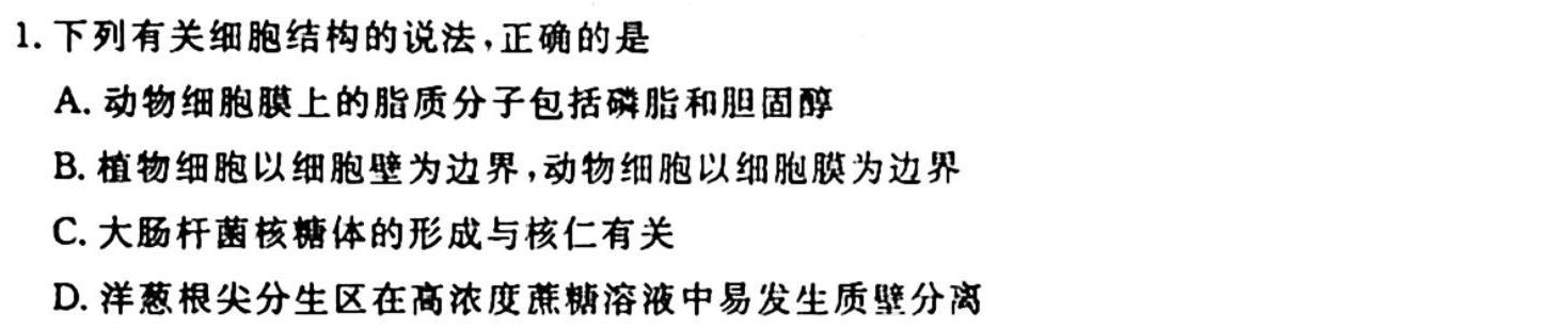 ［广东大联考］广东省2025届高二年级上学期期中考试生物