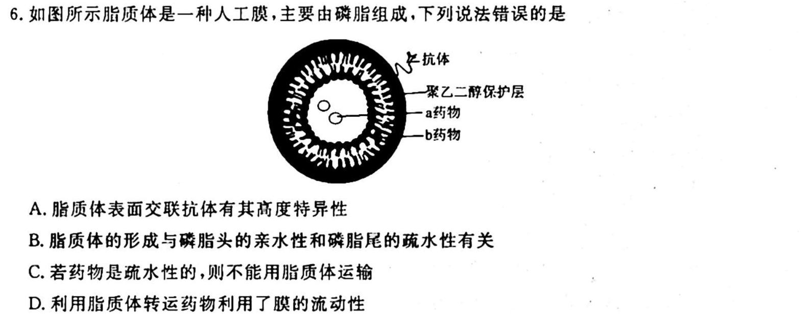 陕西省榆阳区2023-2024学年度第一学期七年级期中质量监测生物学试题答案