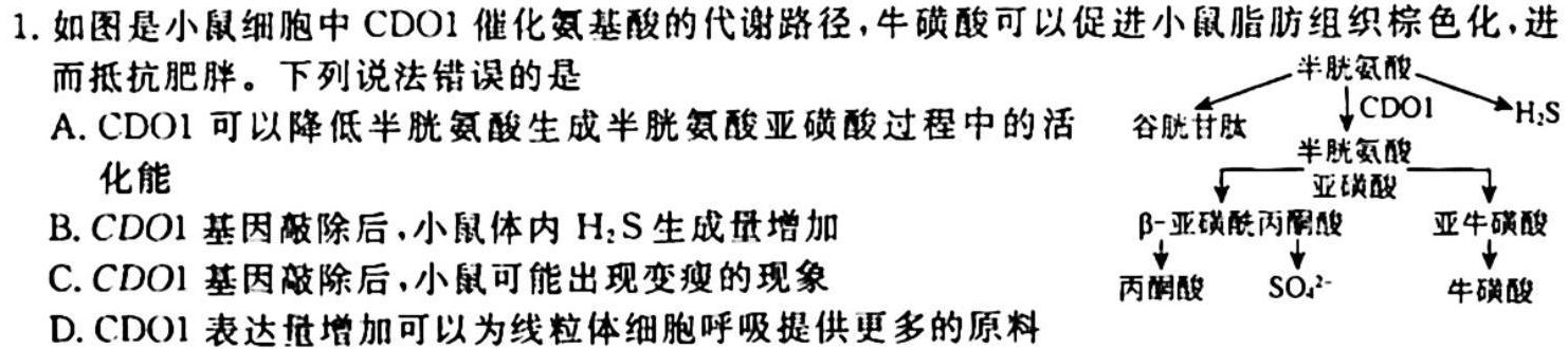 2024届湖北省高三试卷10月联考(24-16C)生物试卷答案