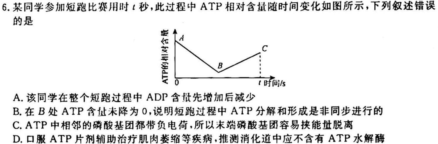 安徽省2023-2024学年七年级万友名校大联考教学评价一生物学试题答案