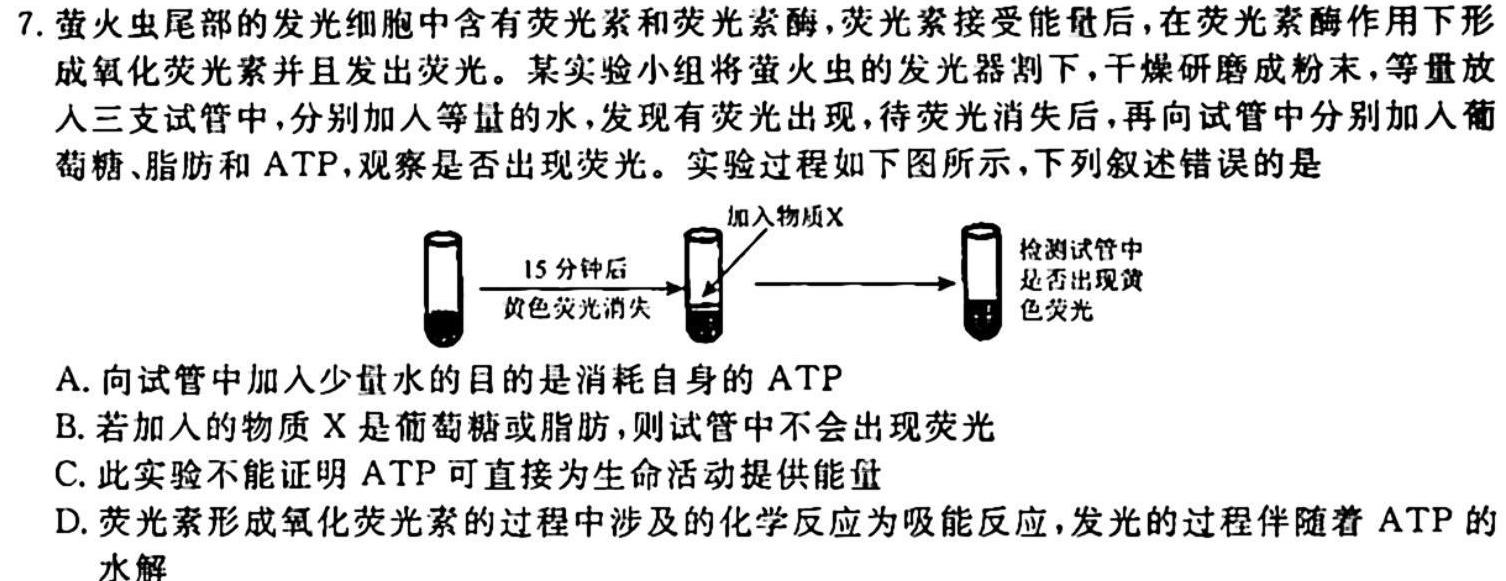 金科大联考·2023~2024学年度高一年级10月质量检测(24051A)生物学试题答案