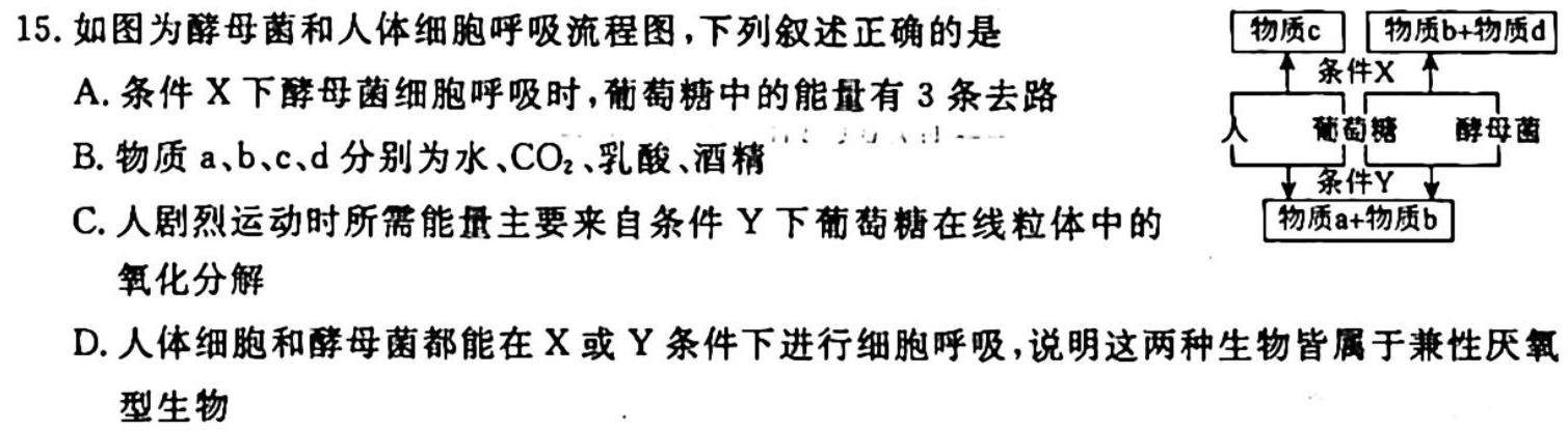 2023年赣州市十八县(市、区)二十三校高一期中联考(24-124A)生物学试题答案