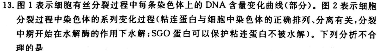 河南省2024届洛平许济四市高三年级10月联考生物