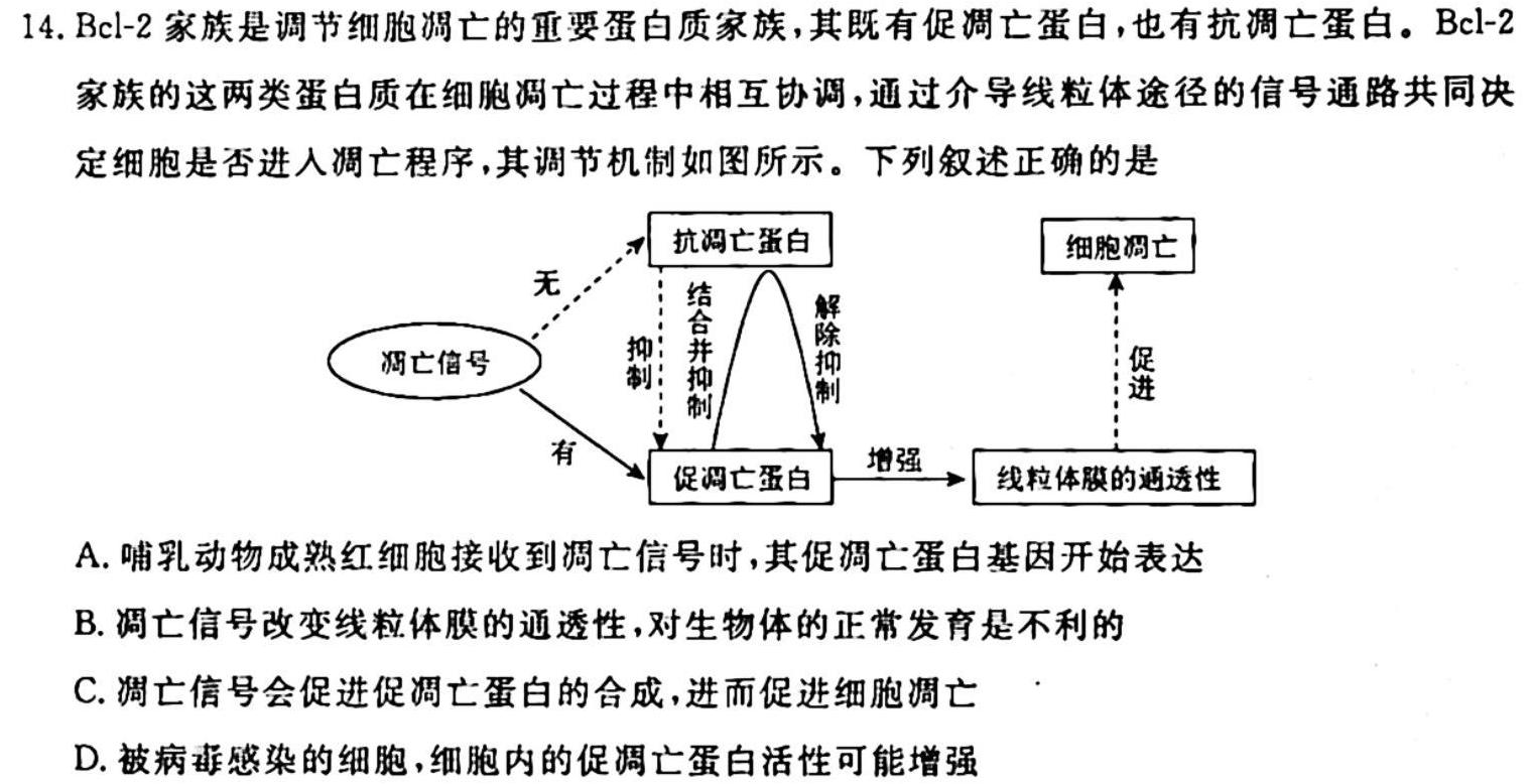 陕西省2023-2024学年度七年级第一学期10月月考A生物学试题答案