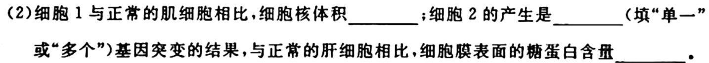 ［云南大联考］云南省2023-2024学年高三年级上学期10月联考生物试卷答案