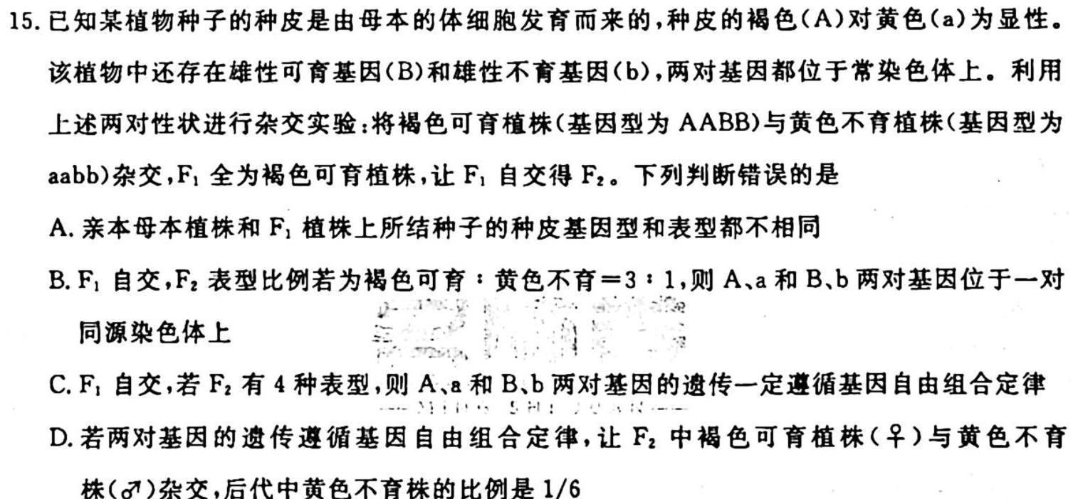 河南省洛阳市2025届高二10月联考生物