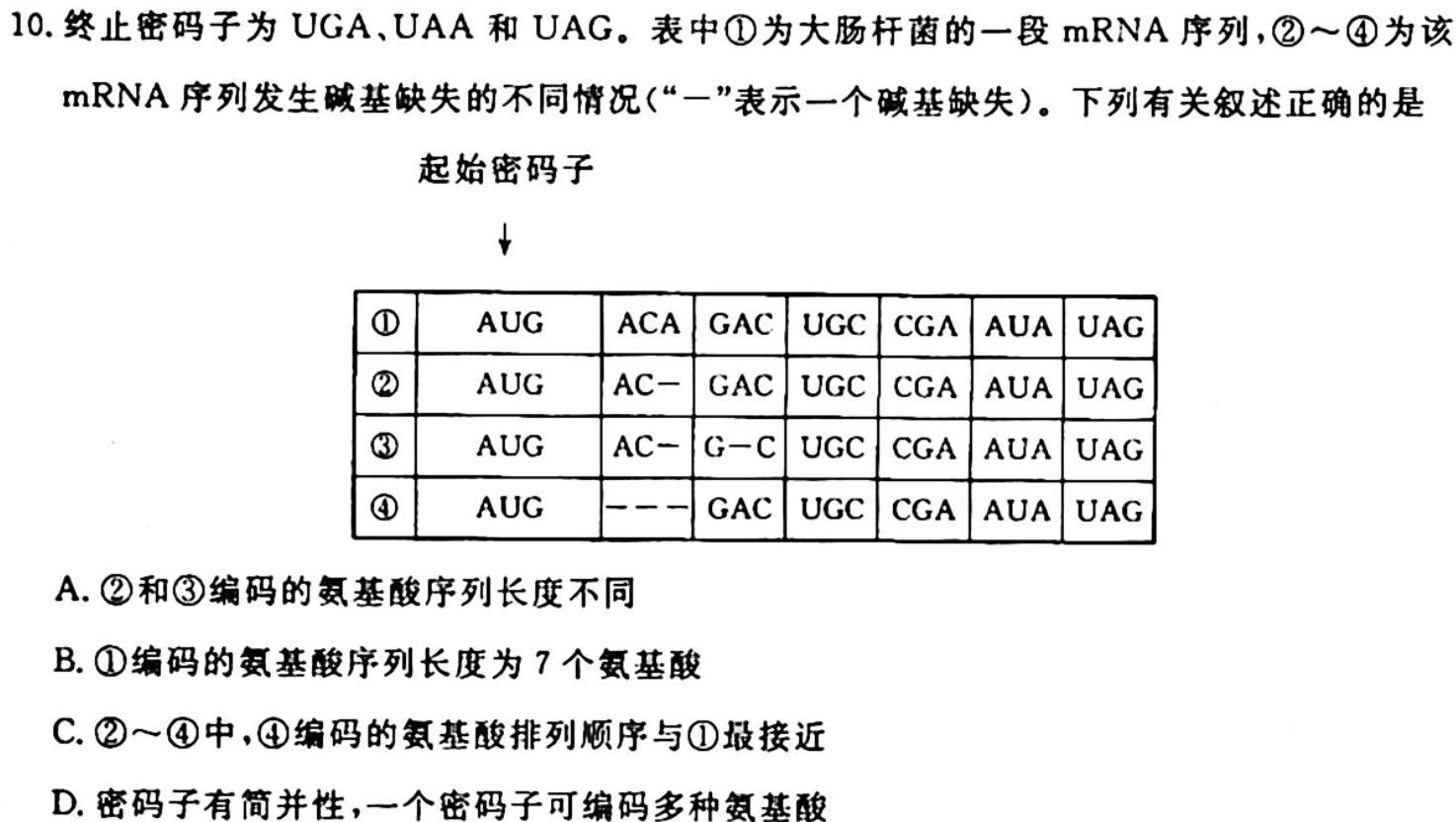 琢名小渔·河北省2023-2024学年高二年级期中测试生物学试题答案