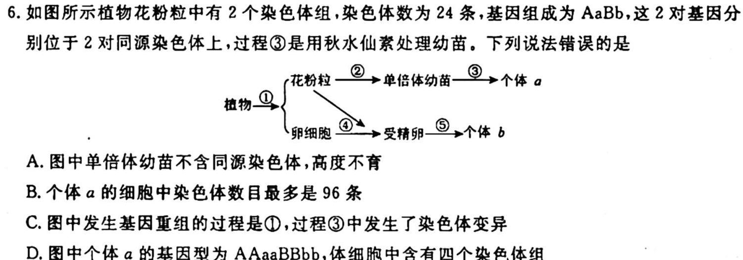 2024届广东湛江调研高三10月联考生物学试题答案