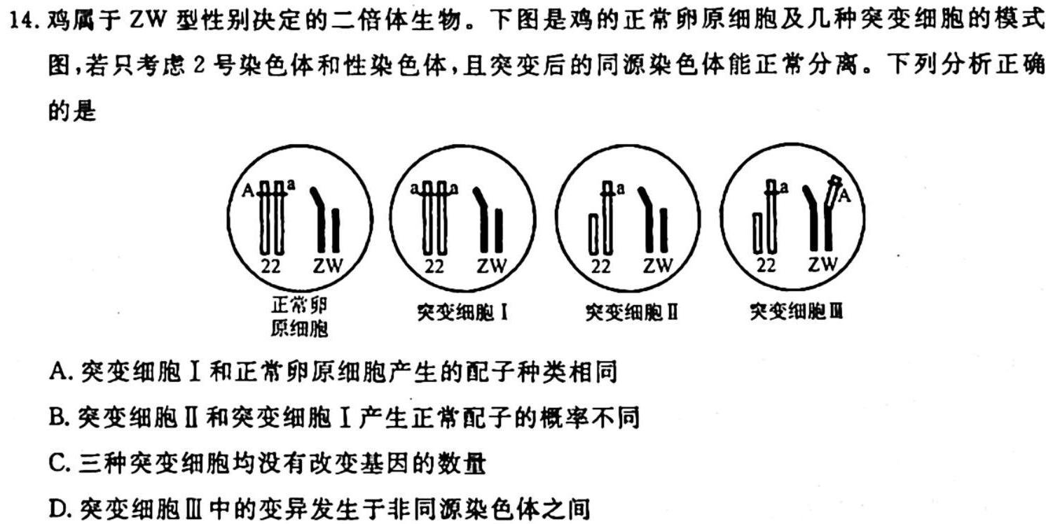 [绵阳一诊]2024届绵阳市高中2021级第一次诊断性考试生物