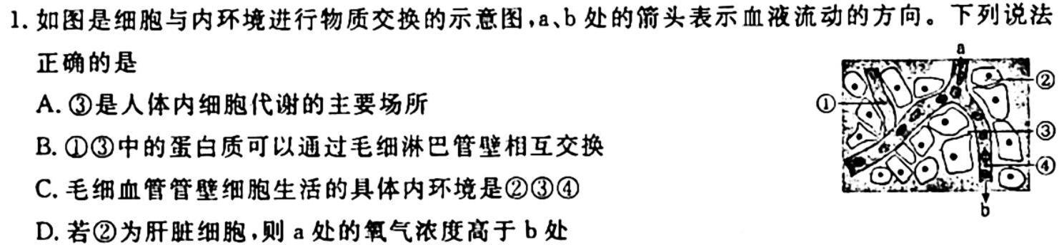 九师联盟2024届高三10月质量检测巩固卷(新教材-L)G生物学试题答案