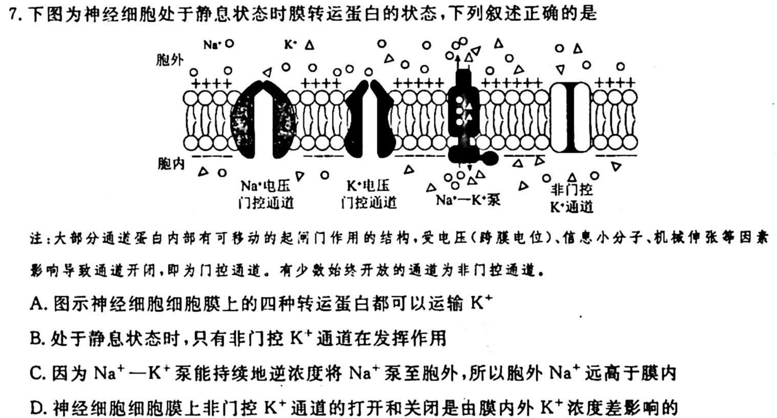 2024年衡水金卷先享题高三一轮复习夯基卷(江苏专版)一生物学试题答案