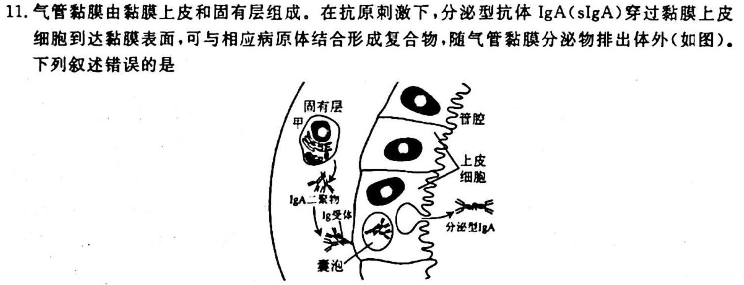 广西省普通高中2024届高三年级跨市联合适应性训练检测卷生物