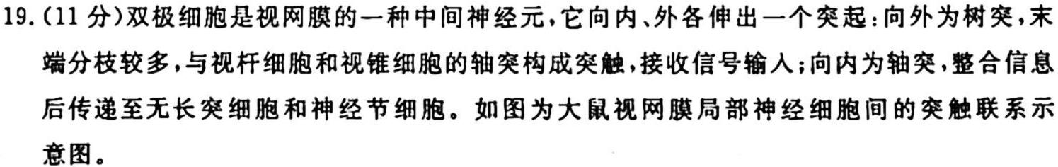 国考1号5·第5套·2024届高三阶段性考试(二)生物学试题答案