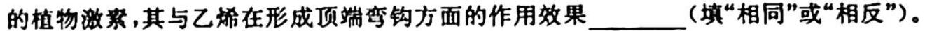 2023-2024学年度朝阳市高一年级十月考试生物学试题答案