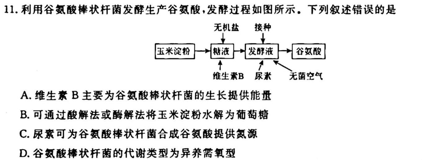 安徽省2023-2024学年高二年级名校阶段检测联考（24004B）生物学试题答案