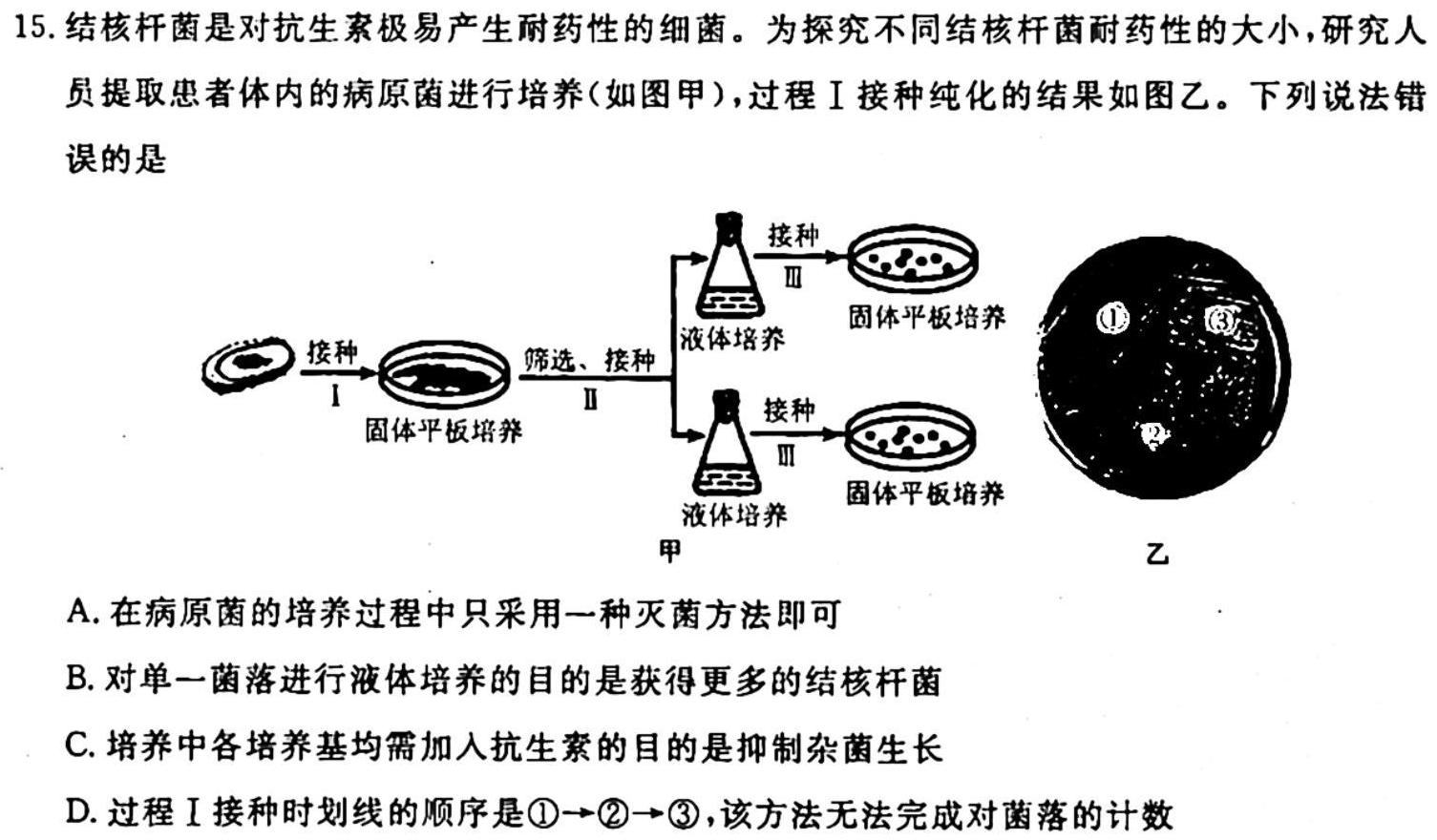 衡水金卷 2024届高三年级10月份大联考(新教材)生物学试题答案