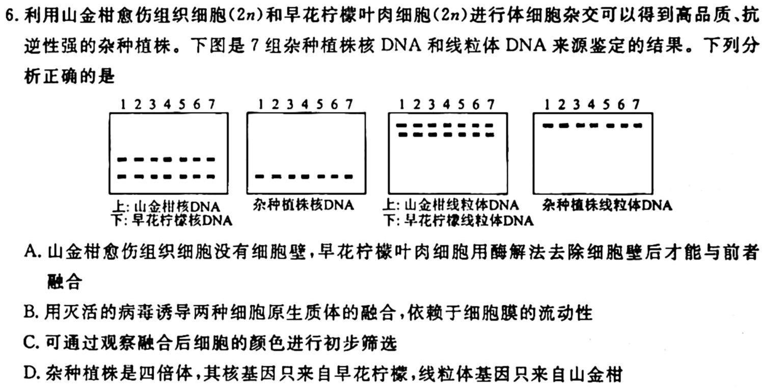 天一大联考 甘肃省2024届高三10月联考生物