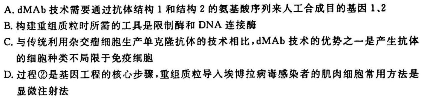 九师联盟2023-2024学年高三10月质量检测（湖北卷）生物