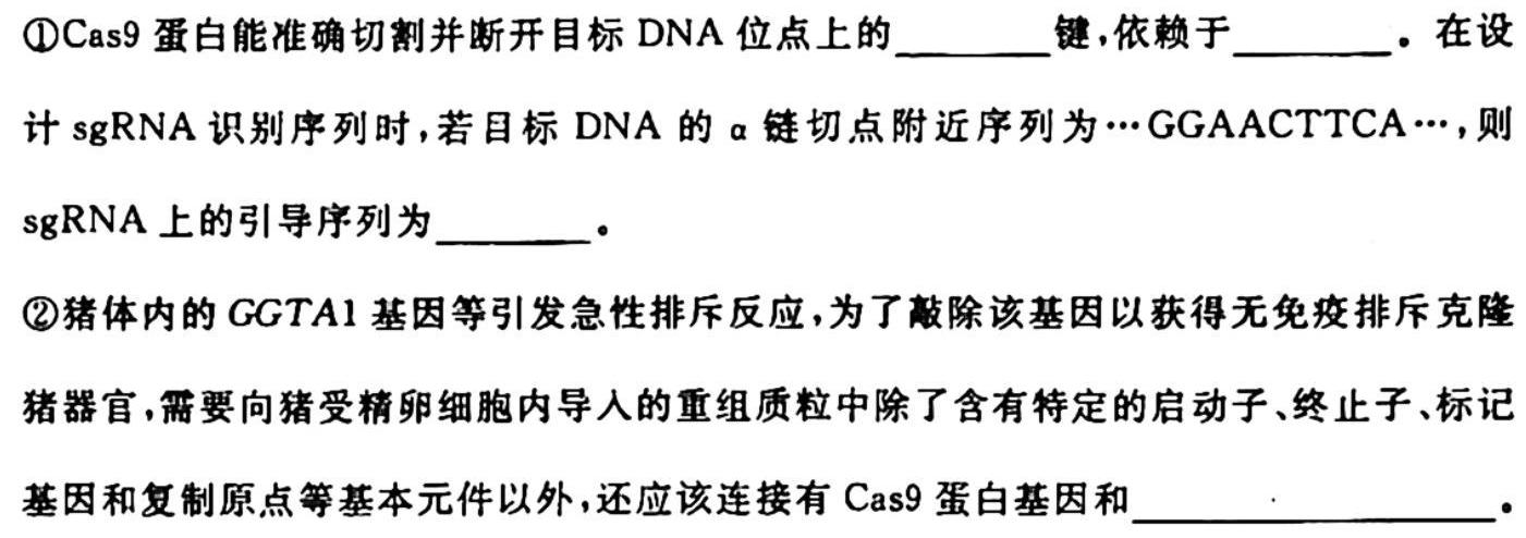 2024届陕西省高二10月联考(24-50B)生物学试题答案