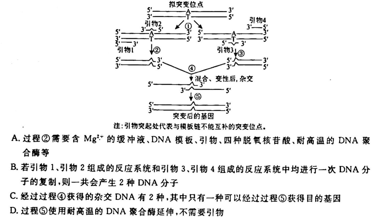 甘肃省2023-2024学年高二年级第一学期期中考试生物